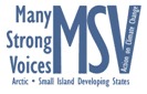 msv